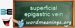 WordMeaning blackboard for superficial epigastric vein
